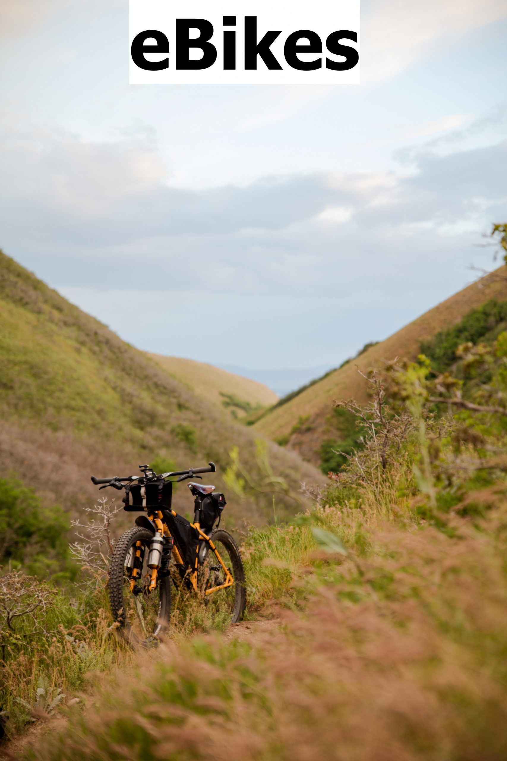 ebikes