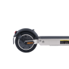 zfox max artic white